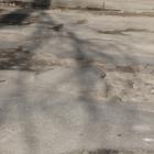 Власти планируют заасфальтировать яму